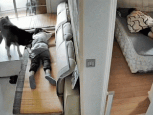 GIF：中国人有自己的沙拉！