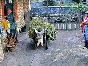 GIF：就是会玩