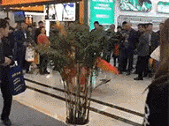 GIF：到底怎么样， 才能拥有这样的身材。