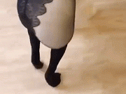 原来黑丝真的显腿细！