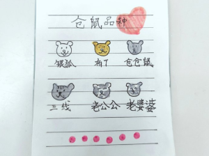 八岁小女孩如何向妈妈证明自己能养一只仓鼠